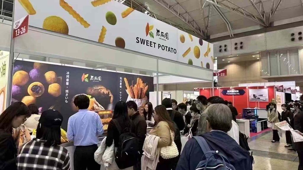http://www.qileshi.cn//upload/article/202412/fcade83124db02ad55a2502c089dcc06.jpg