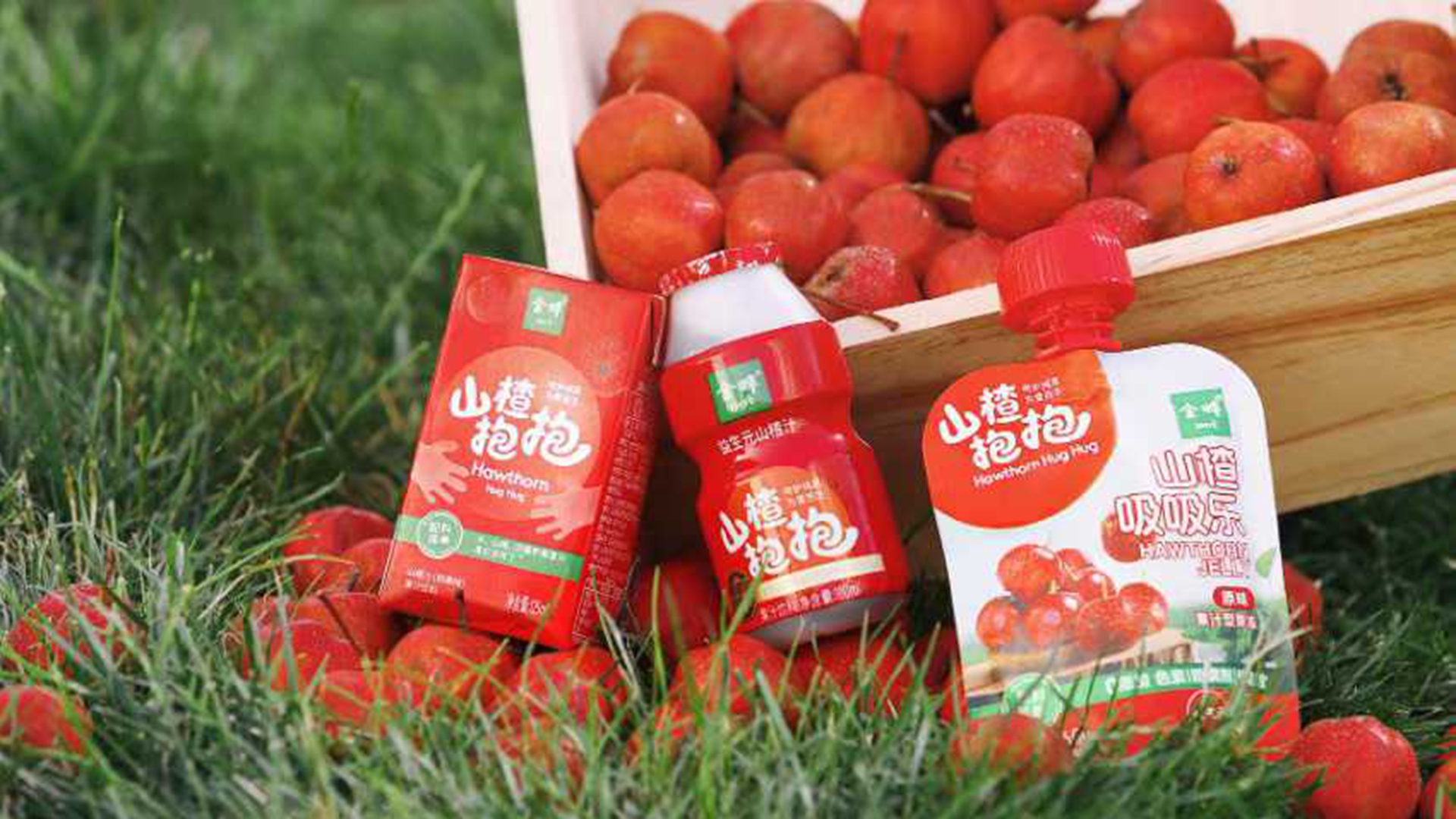 http://www.qileshi.cn//upload/article/202509/df8acd2aed59f7b4bc56faa97765ced9.jpg